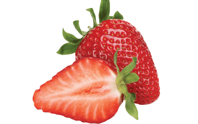 Strawberry Yield — Ascophyllum nodosum Extracts!