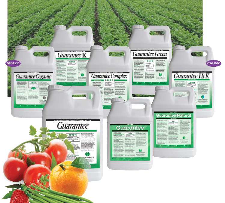 Increase in Uptake of Micronutrients