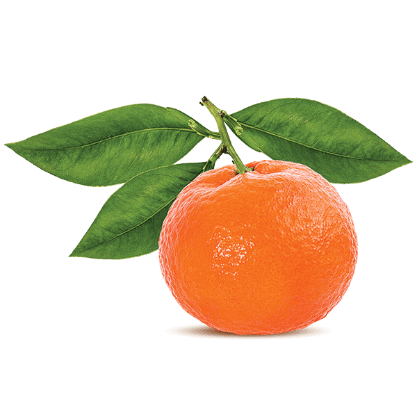 Increase Nutrient Levels Increase Yield Increase Count and Weight Impressive Drop Reduction…during heat stress!