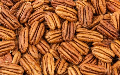 Does Pecan Tree Health Lead to Human Health?
