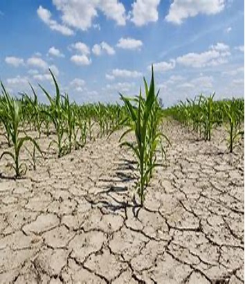 Abiotic Stress in Crops – Stress Resilience is the Key to Stress Tolerance and Stress Recovery