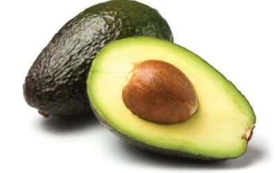 Bigger Avocados with Guarantee Hi K! Hass Avocado Sizes Up 19%