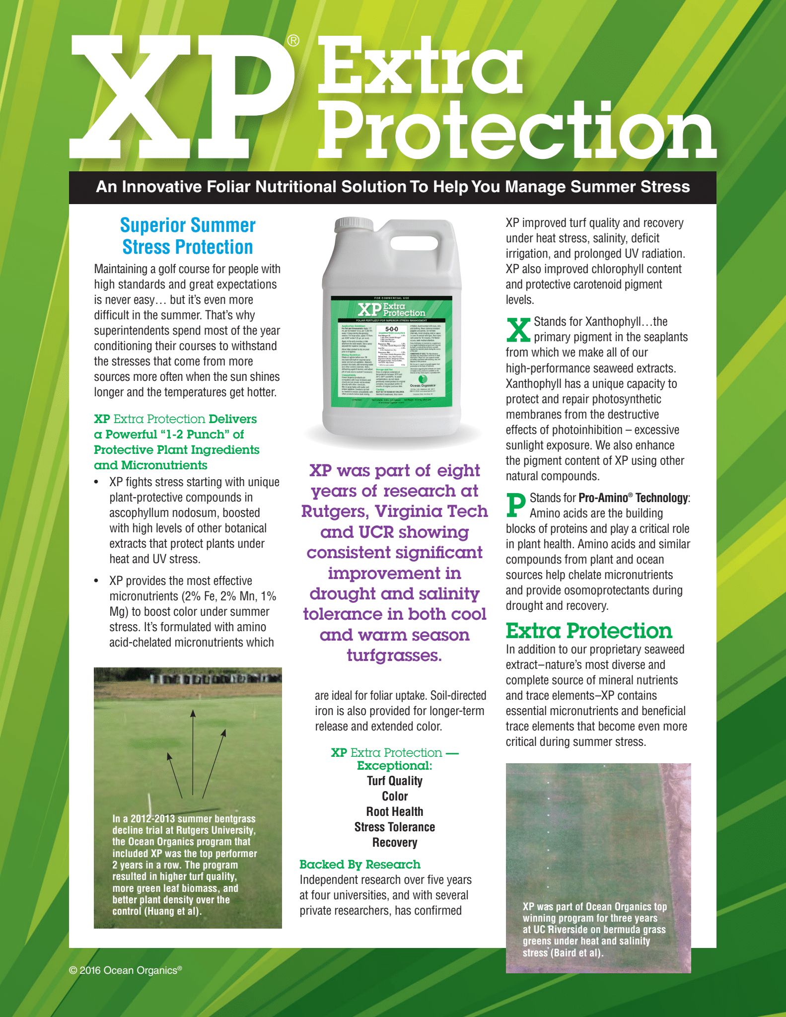 Stress Tolerance & Recovery program Flyer