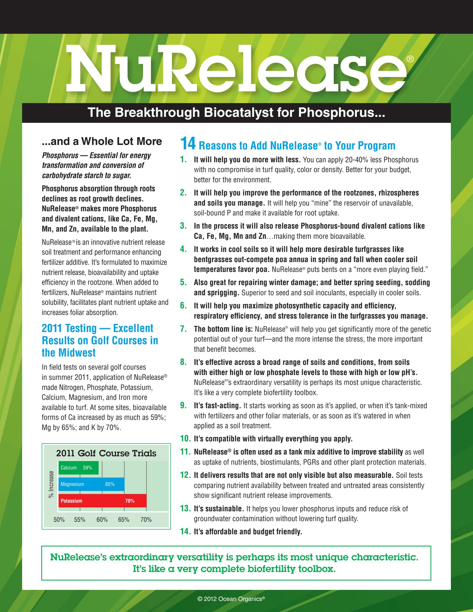 NuRelease Flyer