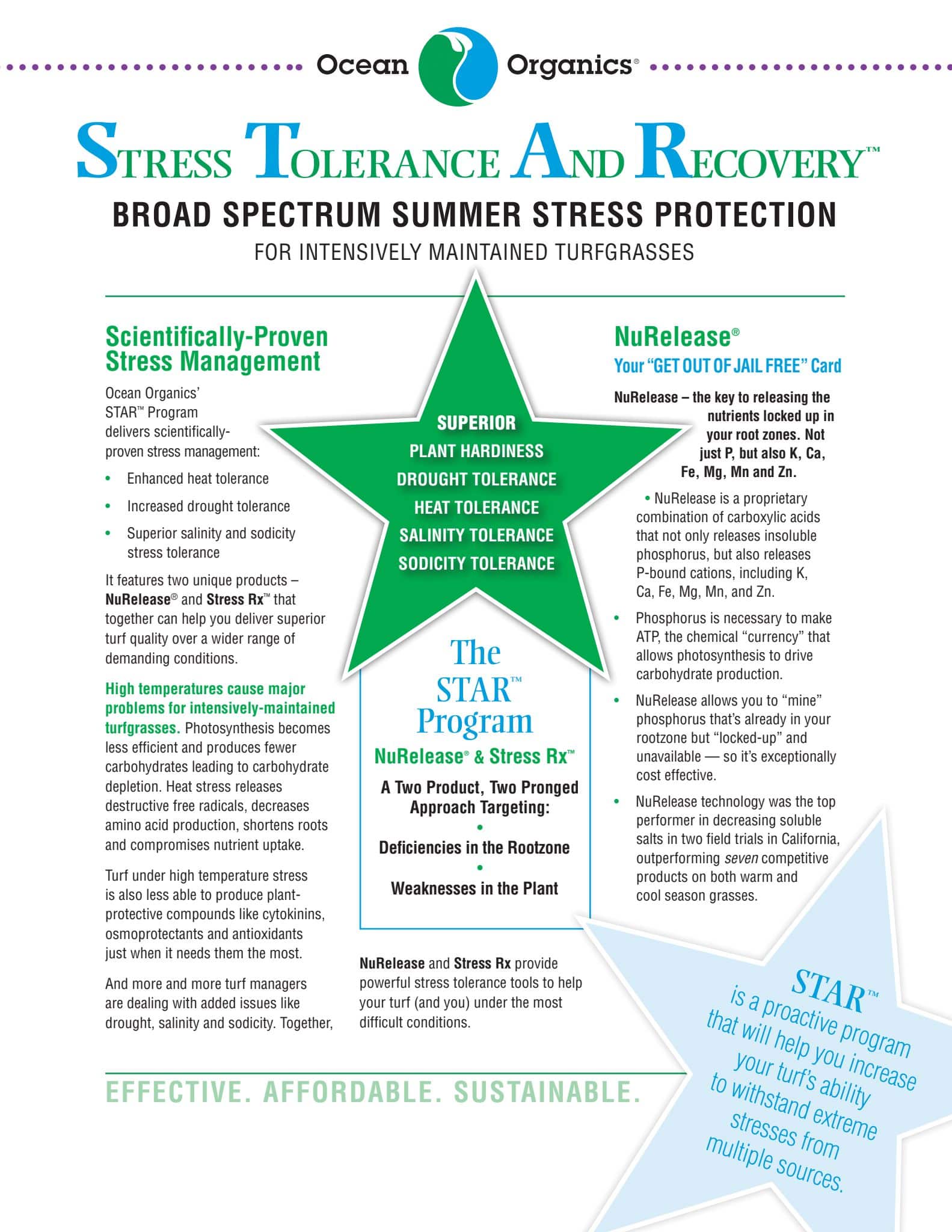 Stress Tolerance & Recovery program Flyer