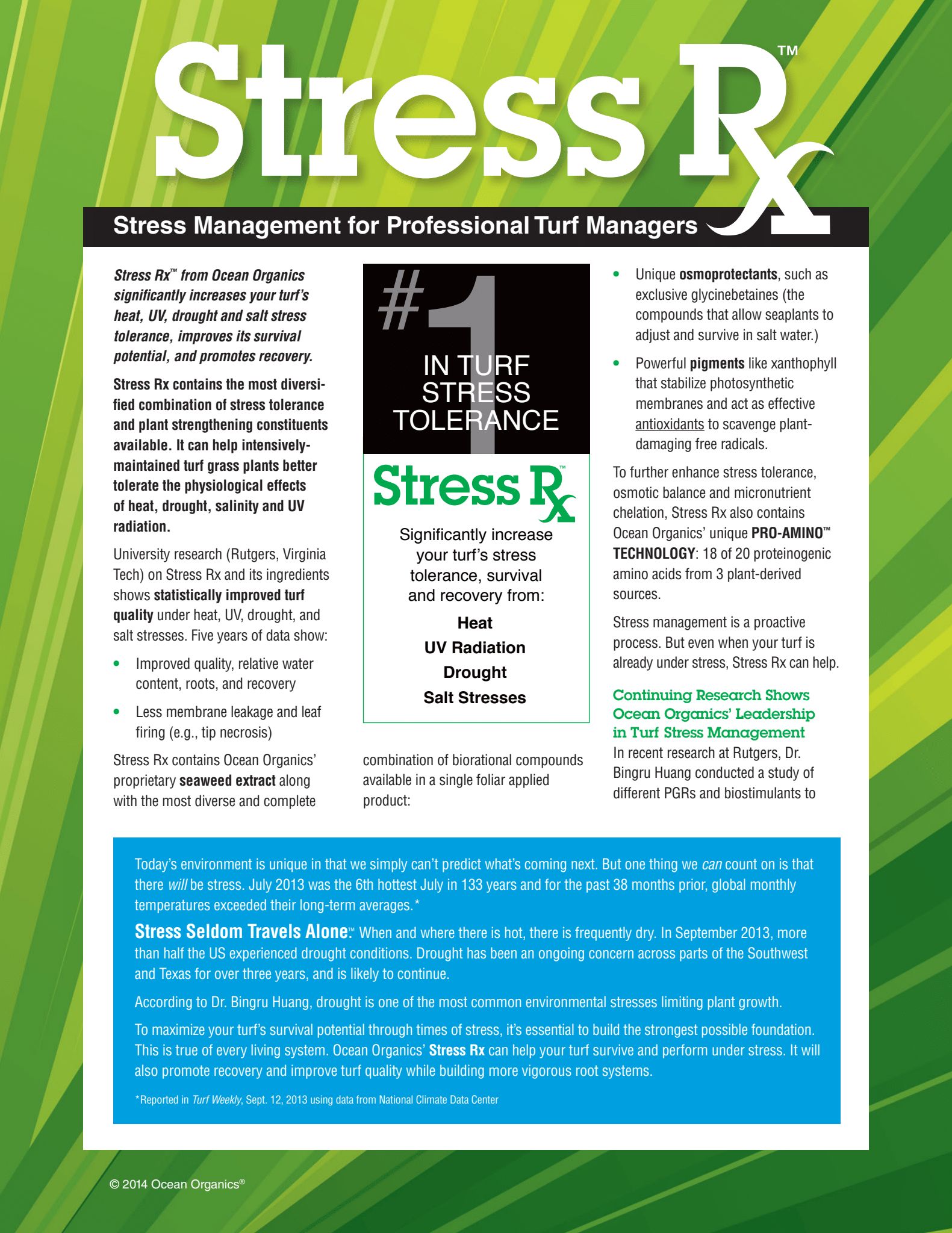 Stress Rx Flyer