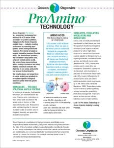 ProAminoTechFlyer