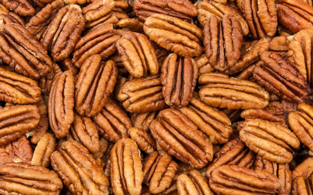 Water Stress: Pecan Kernel Filling