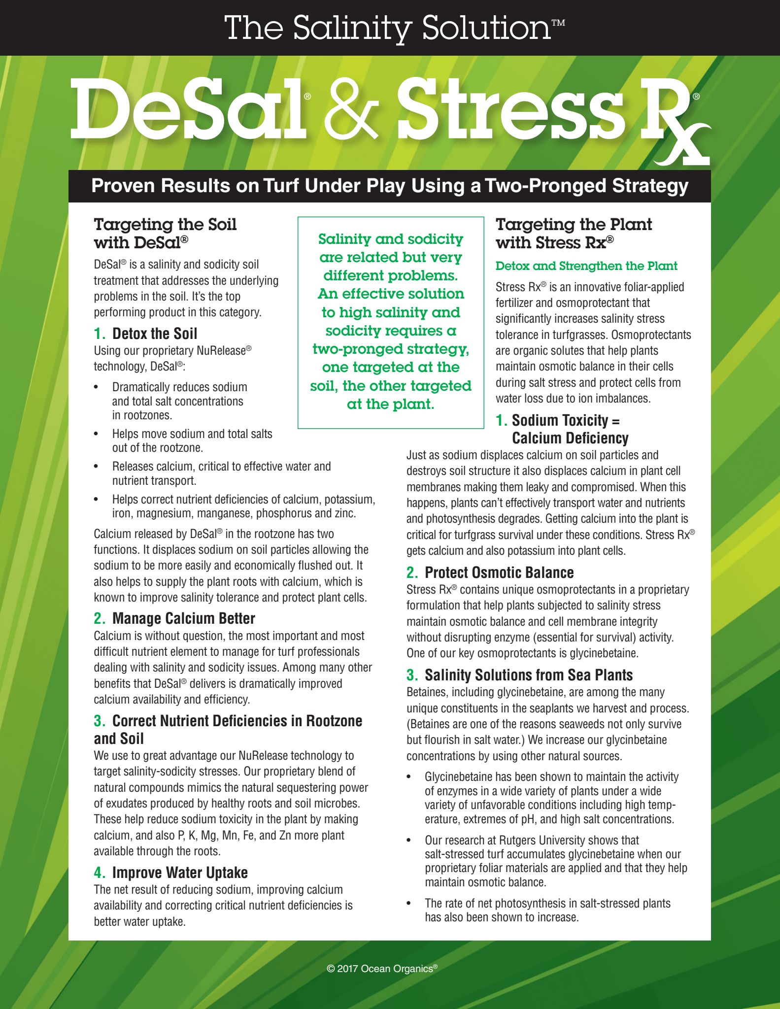 StressRx DeSal Flyer